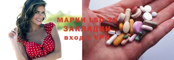 ПСИЛОЦИБИНОВЫЕ ГРИБЫ Абаза