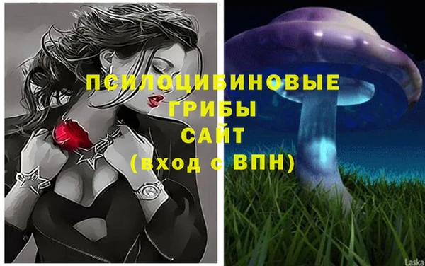 ПСИЛОЦИБИНОВЫЕ ГРИБЫ Абаза