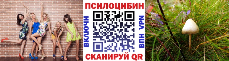 закладки  Кирсанов  Псилоцибиновые грибы мицелий 